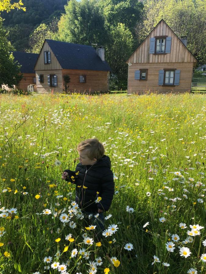 Les Chalets D'Arrens Kültér fotó